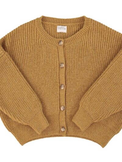 Cardigan camel golden lurex